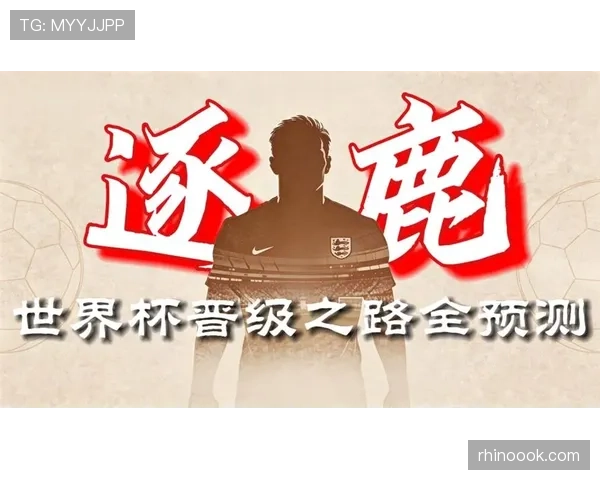 厄瓜多尔冲击2026美加墨世界杯：南美劲旅能否突围晋级正赛